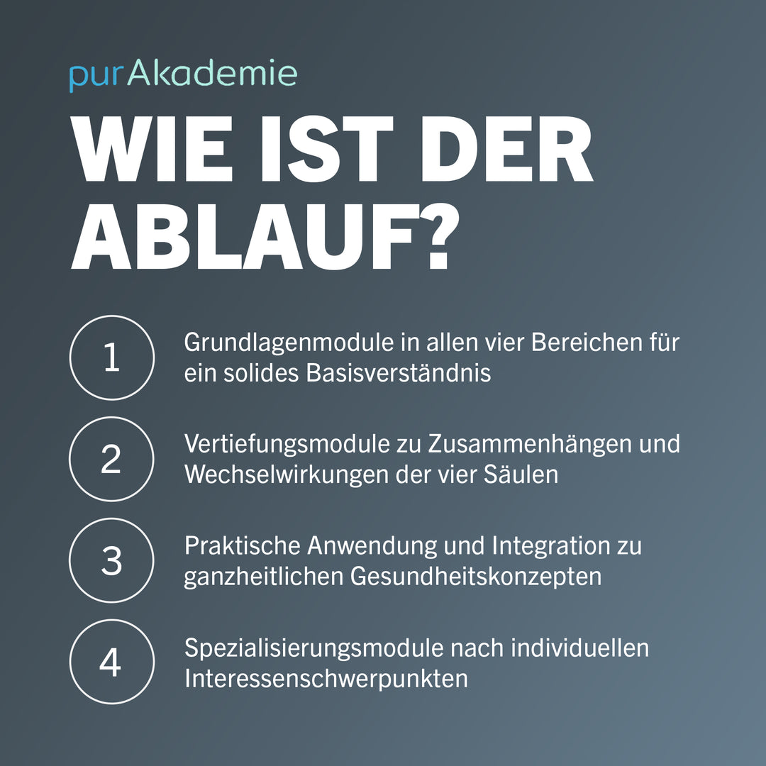 B-E-R-G Coach Bundle B-Lizenz Ausbildung von pur-life - Ablauf - #dauer_12-monate